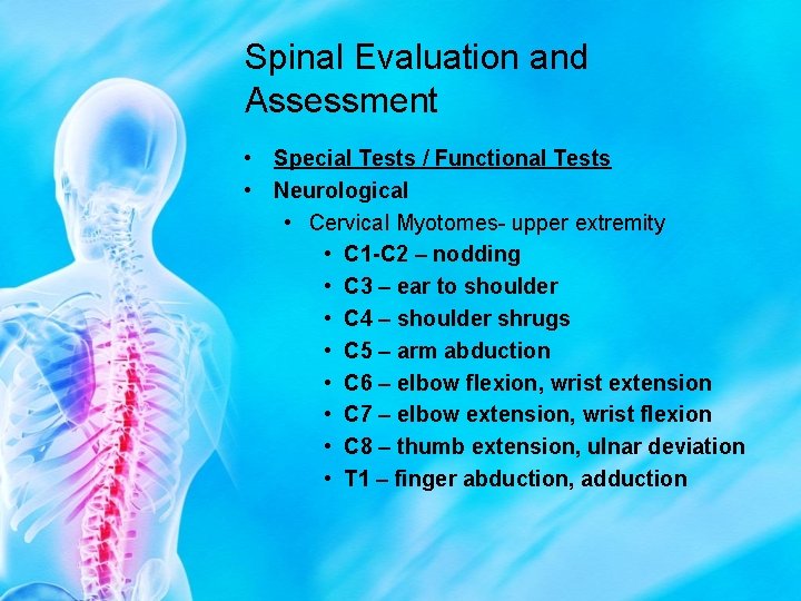 Spinal Evaluation and Assessment • Special Tests / Functional Tests • Neurological • Cervical