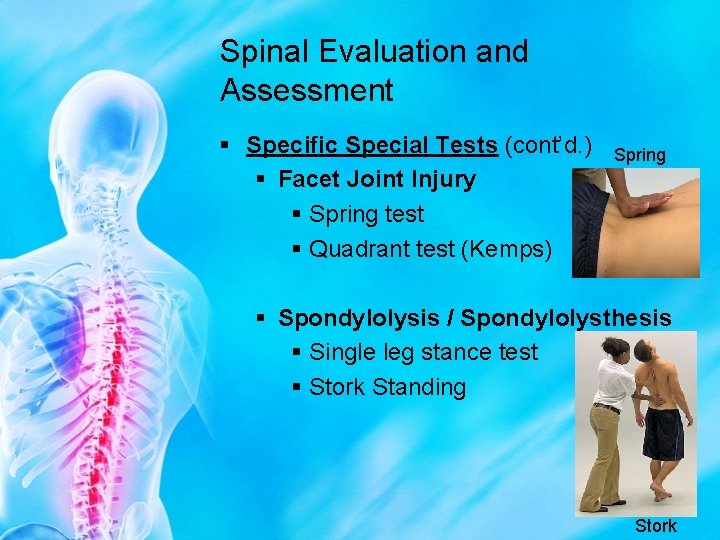Spinal Evaluation and Assessment § Specific Special Tests (cont’d. ) § Facet Joint Injury