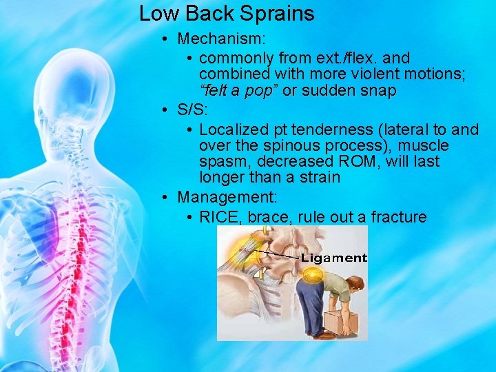 Low Back Sprains • Mechanism: • commonly from ext. /flex. and combined with more