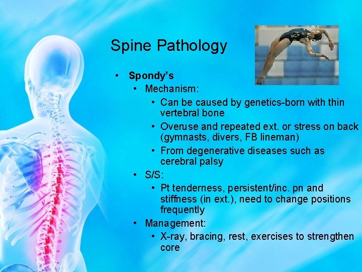Spine Pathology • Spondy’s • Mechanism: • Can be caused by genetics-born with thin