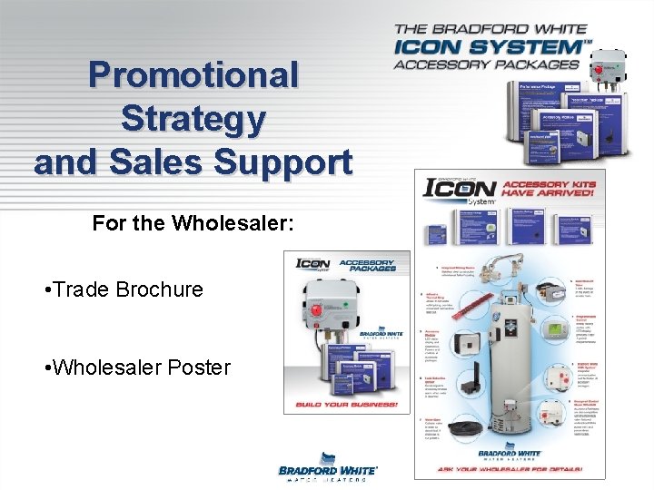 Promotional Strategy and Sales Support For the Wholesaler: • Trade Brochure • Wholesaler Poster