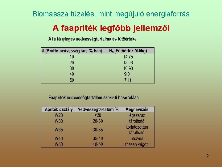 Biomassza tüzelés, mint megújuló energiaforrás A faapríték legfőbb jellemzői 12 