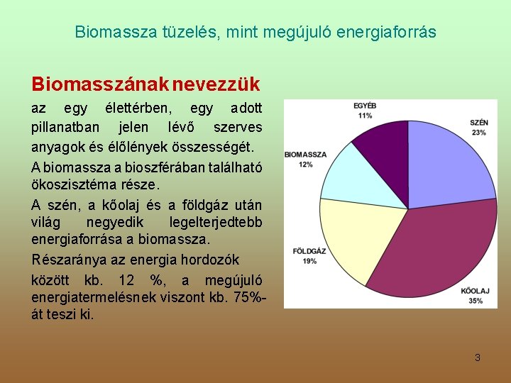 Biomassza tüzelés, mint megújuló energiaforrás Biomasszának nevezzük az egy élettérben, egy adott pillanatban jelen