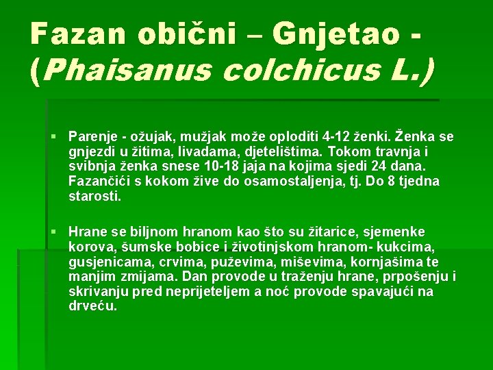 Fazan obični – Gnjetao (Phaisanus colchicus L. ) § Parenje - ožujak, mužjak može