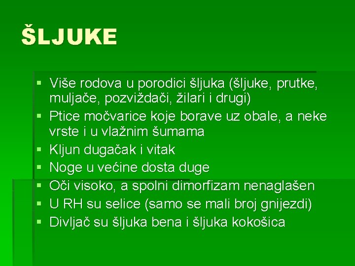 ŠLJUKE § Više rodova u porodici šljuka (šljuke, prutke, muljače, pozviždači, žilari i drugi)