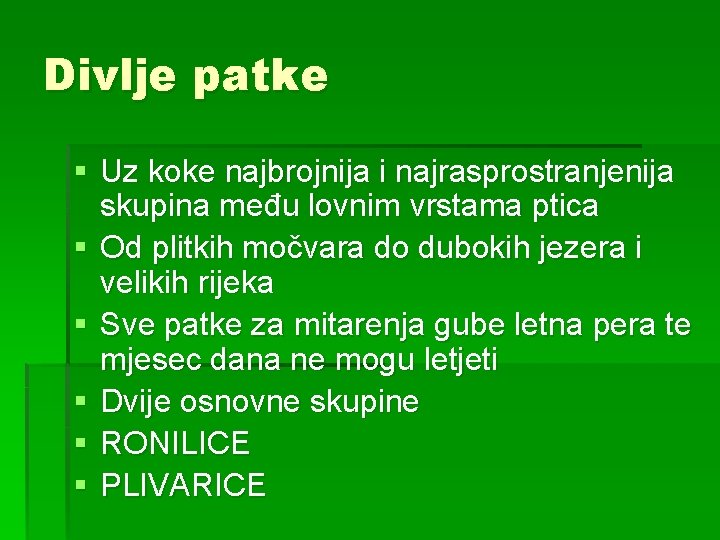 Divlje patke § Uz koke najbrojnija i najrasprostranjenija skupina među lovnim vrstama ptica §