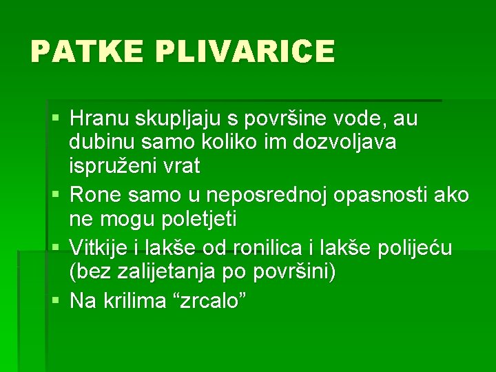 PATKE PLIVARICE § Hranu skupljaju s površine vode, au dubinu samo koliko im dozvoljava