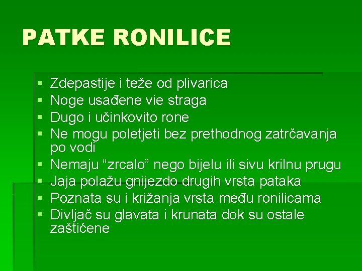 PATKE RONILICE § § § § Zdepastije i teže od plivarica Noge usađene vie