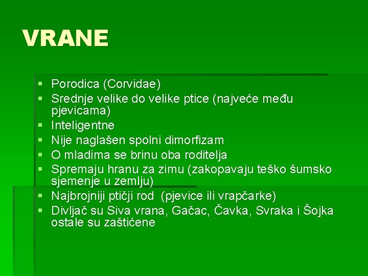 VRANE § Porodica (Corvidae) § Srednje velike do velike ptice (najveće među pjevicama) §