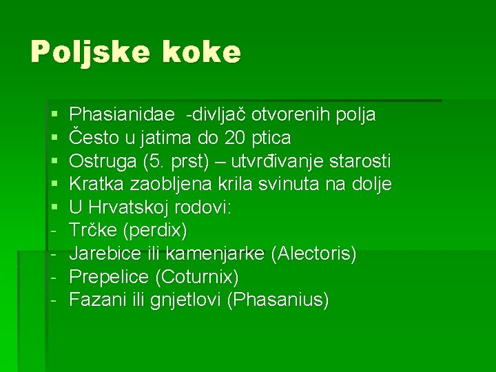 Poljske koke § § § - Phasianidae -divljač otvorenih polja Često u jatima do