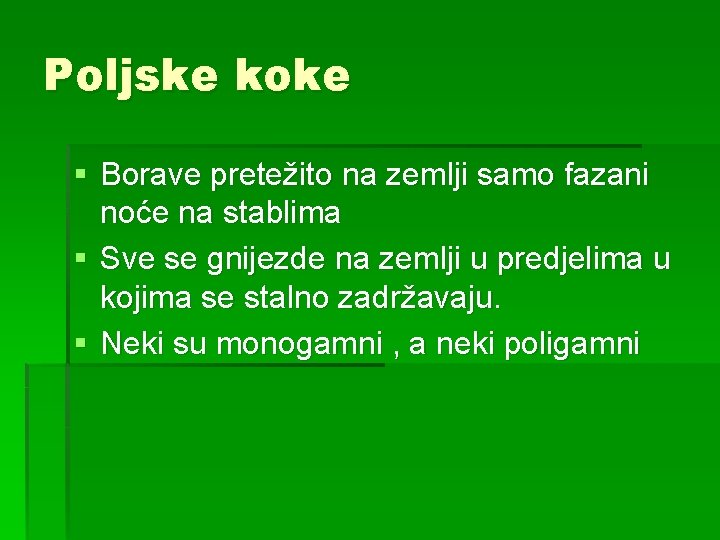 Poljske koke § Borave pretežito na zemlji samo fazani noće na stablima § Sve