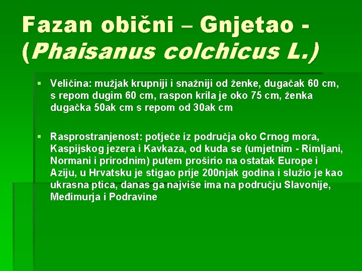 Fazan obični – Gnjetao (Phaisanus colchicus L. ) § Veličina: mužjak krupniji i snažniji