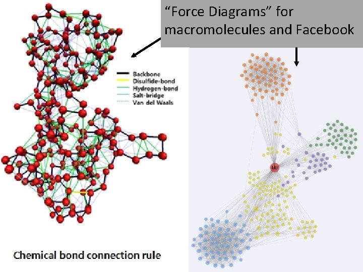 “Force Diagrams” for macromolecules and Facebook 