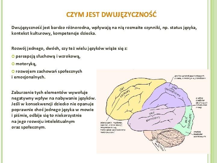 CZYM JEST DWUJĘZYCZNOŚĆ Dwujęzyczność jest bardzo różnorodna, wpływają na nią rozmaite czynniki, np. status