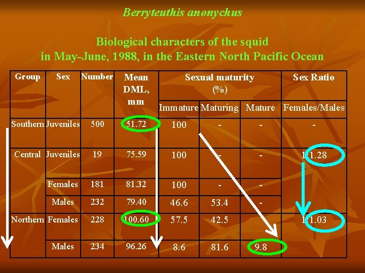 Berryteuthis anonychus Biological characters of the squid in May-June, 1988, in the Eastern North