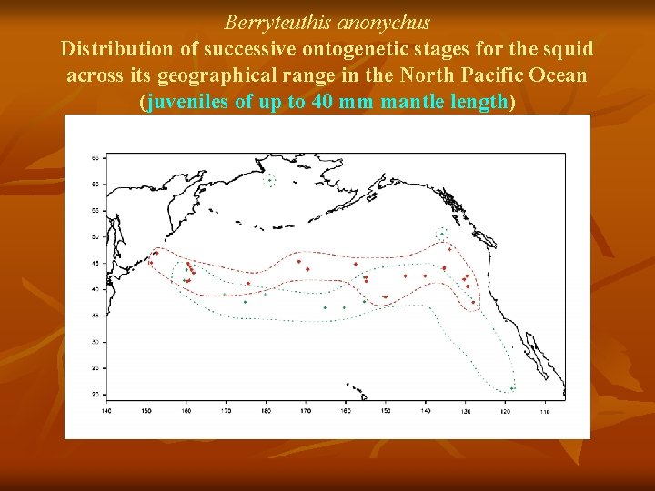 Berryteuthis anonychus Distribution of successive ontogenetic stages for the squid across its geographical range