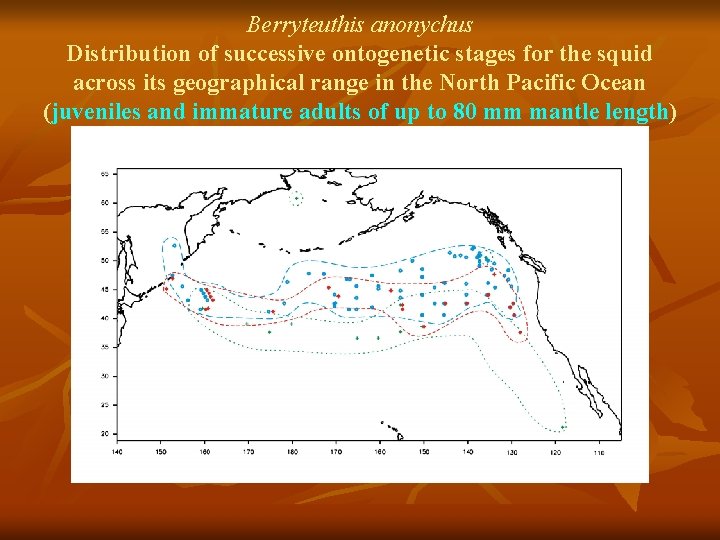 Berryteuthis anonychus Distribution of successive ontogenetic stages for the squid across its geographical range