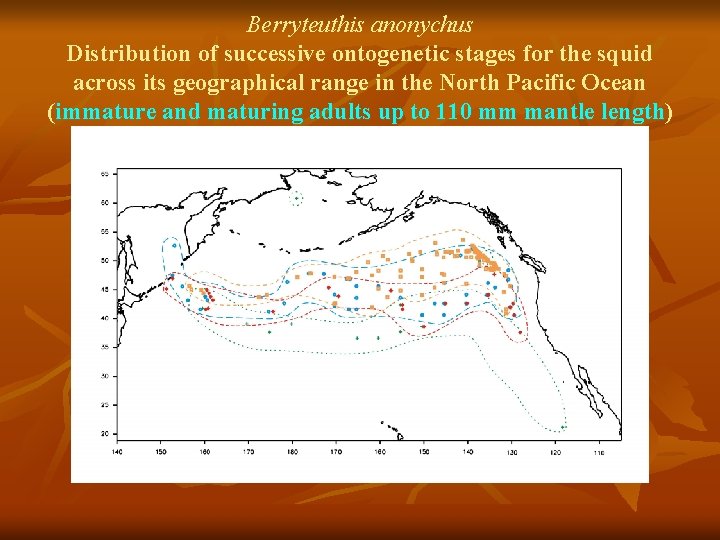 Berryteuthis anonychus Distribution of successive ontogenetic stages for the squid across its geographical range