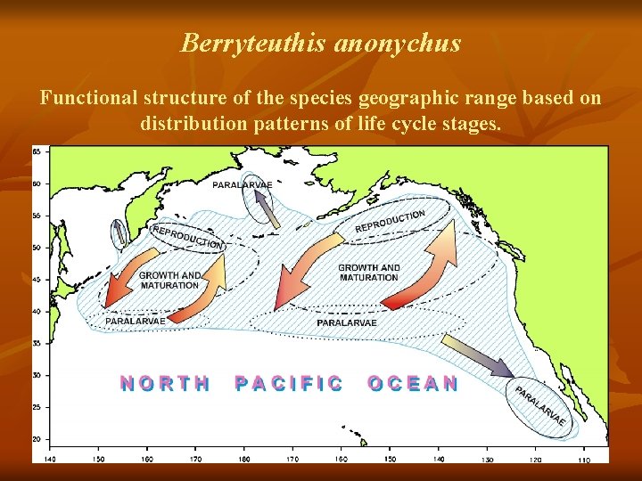 Berryteuthis anonychus Functional structure of the species geographic range based on distribution patterns of