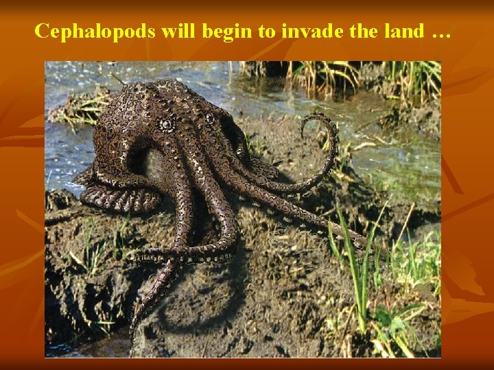 Cephalopods will begin to invade the land … 