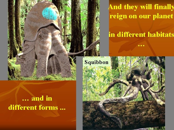 And they will finally reign on our planet in different habitats … Squibbon …