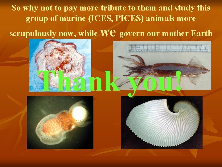 So why not to pay more tribute to them and study this group of