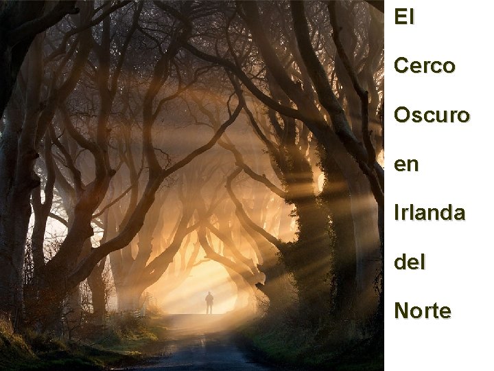 El Cerco Oscuro en Irlanda del Norte 