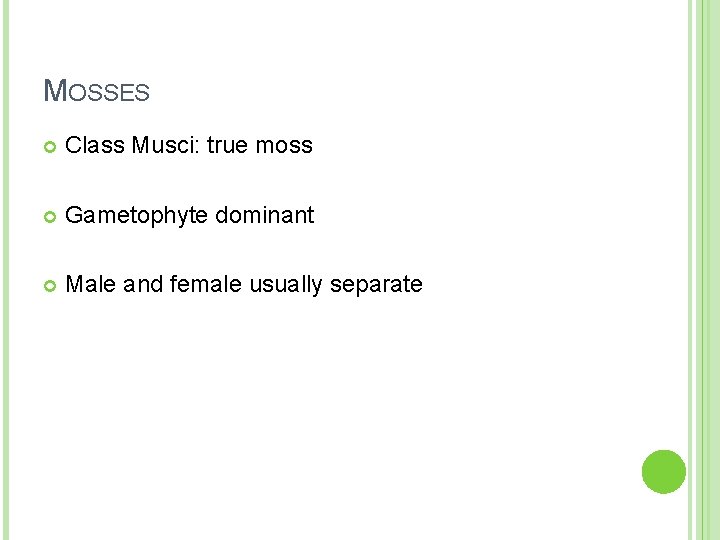 MOSSES Class Musci: true moss Gametophyte dominant Male and female usually separate 