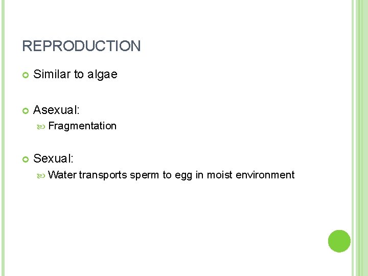 REPRODUCTION Similar to algae Asexual: Fragmentation Sexual: Water transports sperm to egg in moist