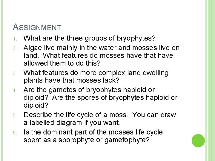 ASSIGNMENT 1. 2. 3. 4. 5. 6. What are three groups of bryophytes? Algae