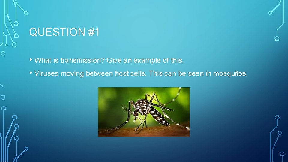 QUESTION #1 • What is transmission? Give an example of this. • Viruses moving