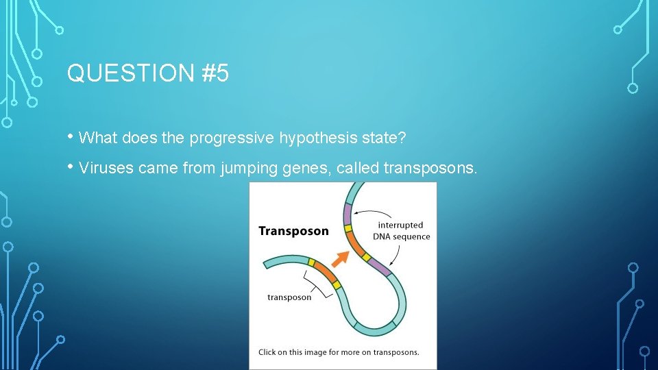QUESTION #5 • What does the progressive hypothesis state? • Viruses came from jumping