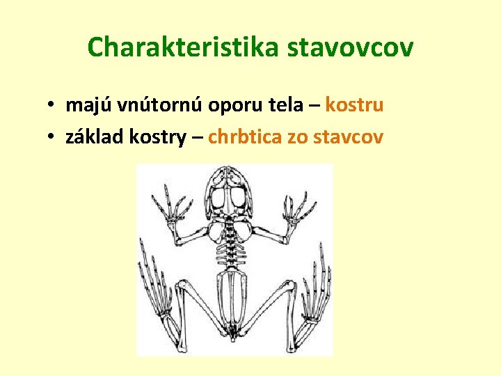 Charakteristika stavovcov • majú vnútornú oporu tela – kostru • základ kostry – chrbtica