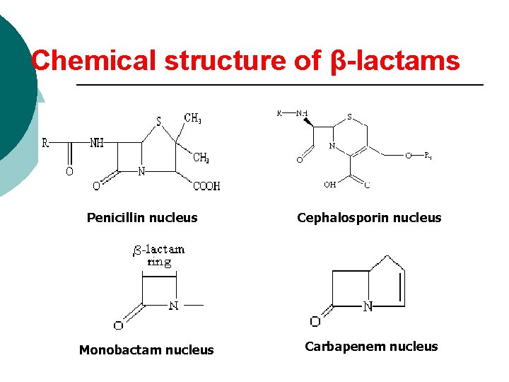 Chemical structure of β-lactams Penicillin nucleus Monobactam nucleus Cephalosporin nucleus Carbapenem nucleus 