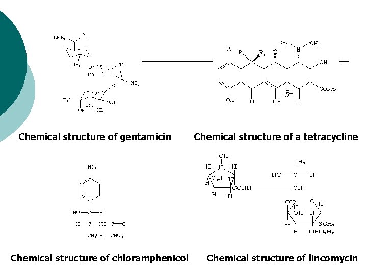Chemical structure of gentamicin Chemical structure of chloramphenicol Chemical structure of a tetracycline Chemical