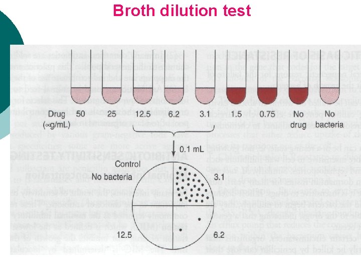 Broth dilution test 