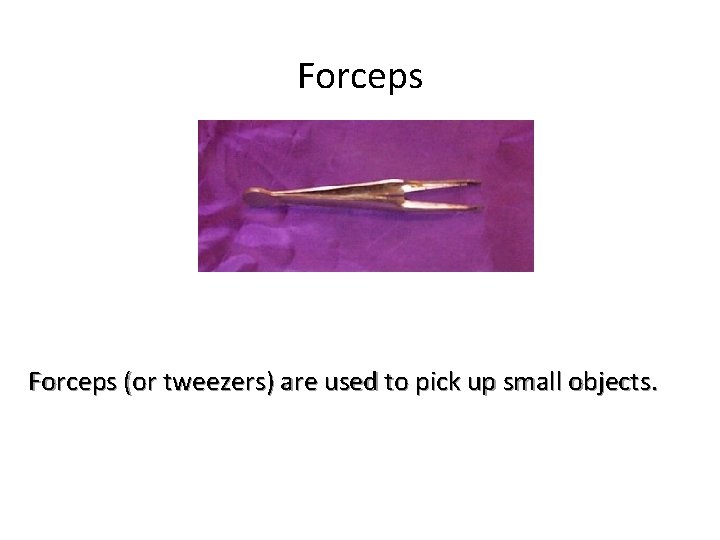 Forceps (or tweezers) are used to pick up small objects. 