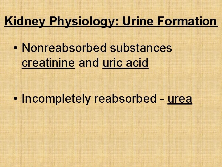 Kidney Physiology: Urine Formation • Nonreabsorbed substances creatinine and uric acid • Incompletely reabsorbed