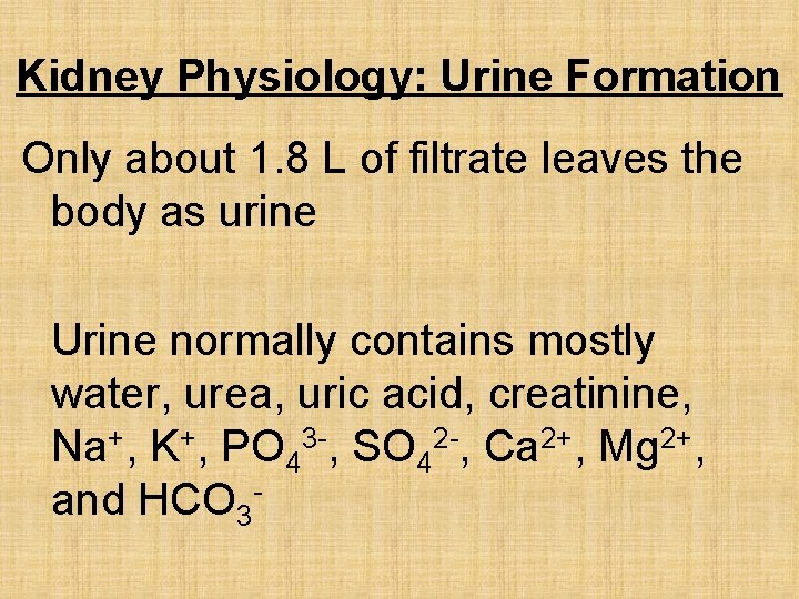 Kidney Physiology: Urine Formation Only about 1. 8 L of filtrate leaves the body