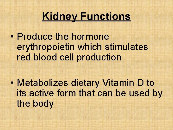 Kidney Functions • Produce the hormone erythropoietin which stimulates red blood cell production •