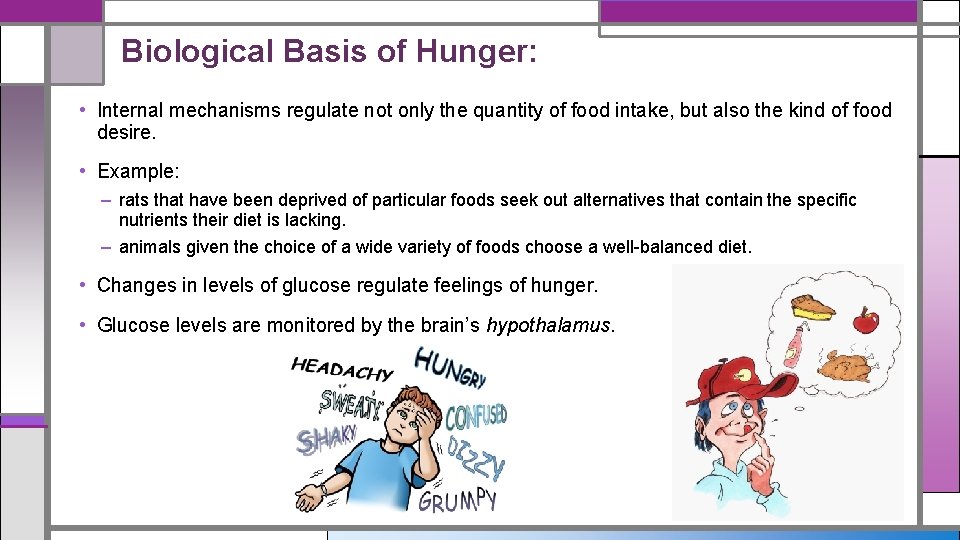 Biological Basis of Hunger: • Internal mechanisms regulate not only the quantity of food