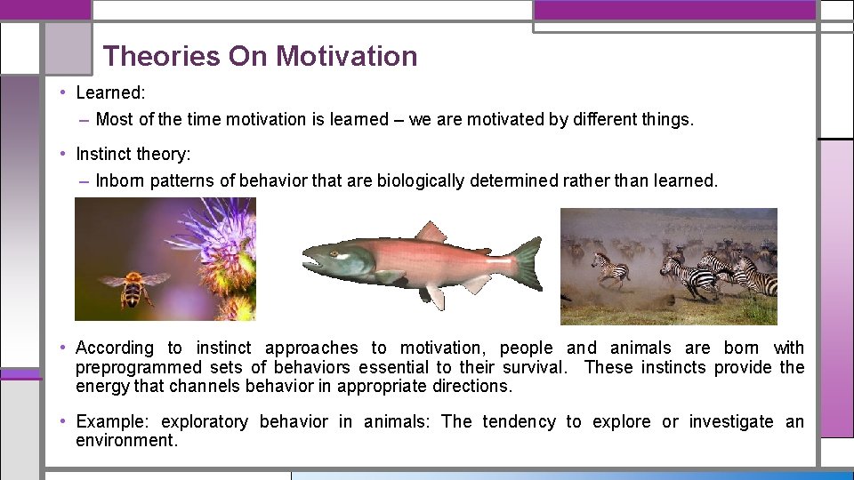 Theories On Motivation • Learned: – Most of the time motivation is learned –