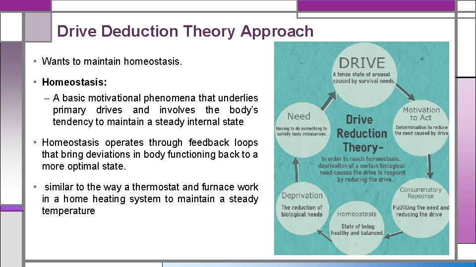 Drive Deduction Theory Approach • Wants to maintain homeostasis. • Homeostasis: – A basic