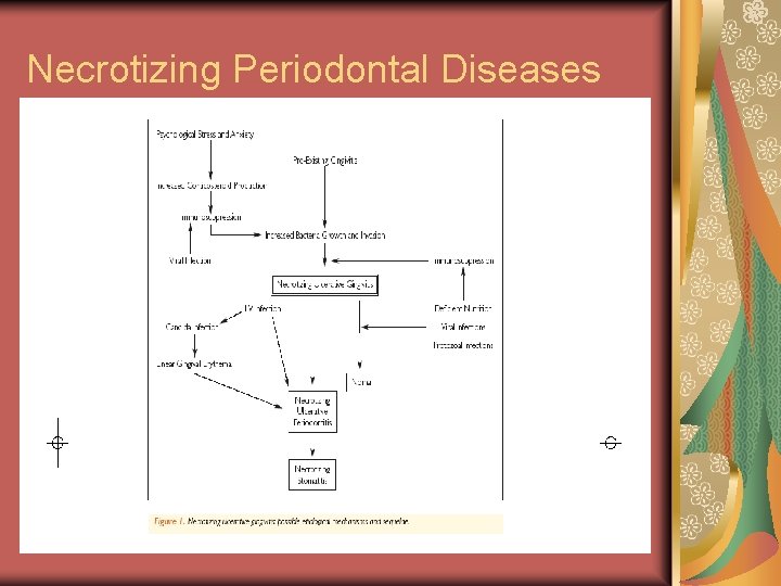 Necrotizing Periodontal Diseases 