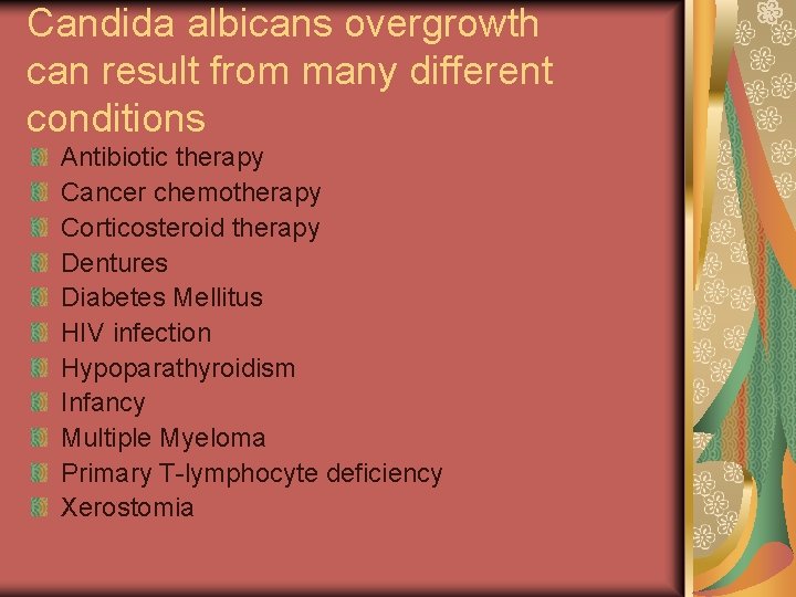 Candida albicans overgrowth can result from many different conditions Antibiotic therapy Cancer chemotherapy Corticosteroid