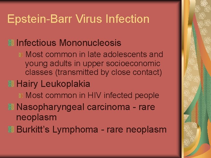 Epstein-Barr Virus Infection Infectious Mononucleosis Most common in late adolescents and young adults in