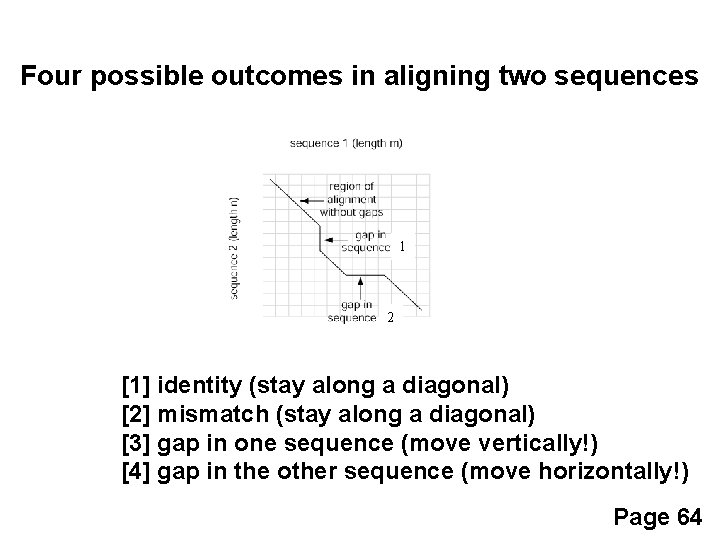 Four possible outcomes in aligning two sequences 1 2 [1] identity (stay along a