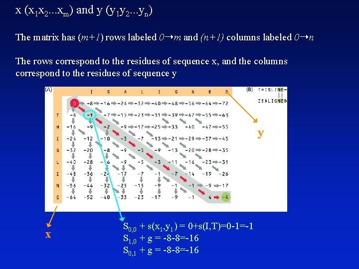 x (x 1 x 2. . . xm) and y (y 1 y 2.