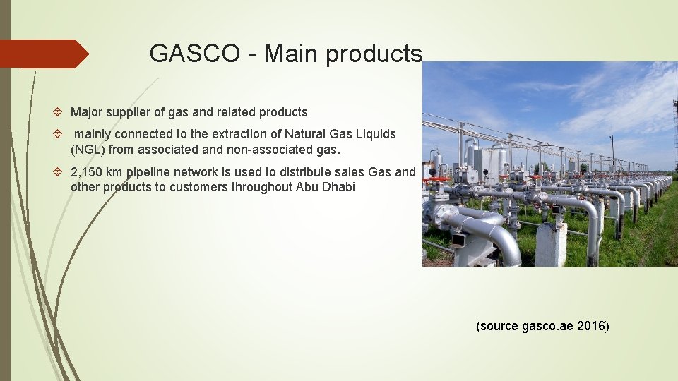 GASCO - Main products Major supplier of gas and related products mainly connected to