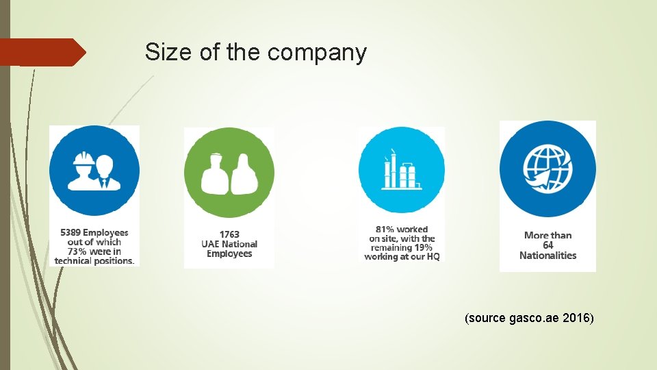 Size of the company (source gasco. ae 2016) 